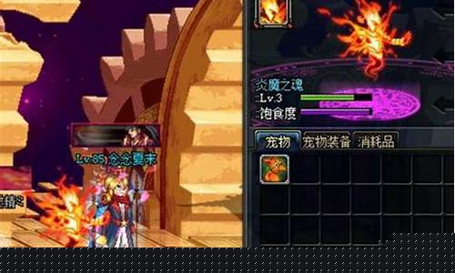 dnf炎魔之魂_炎魔之魂宠物怎么样
