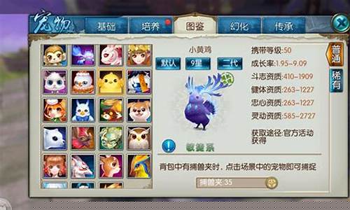 梦幻诛仙宠物技能_梦幻诛仙宠物技能怎么打