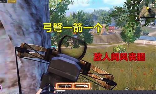 和平精英动画片第一集_和平精英动画片第一