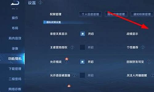 王者荣耀隐藏战绩查询器_王者荣耀隐藏战绩查询网址