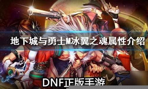 dnf宠物冰翼之魂_dnf冰翼之魂拍卖行多少钱