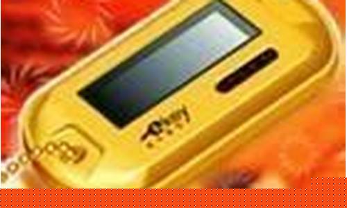 盛大密宝_盛大密宝怎么用
