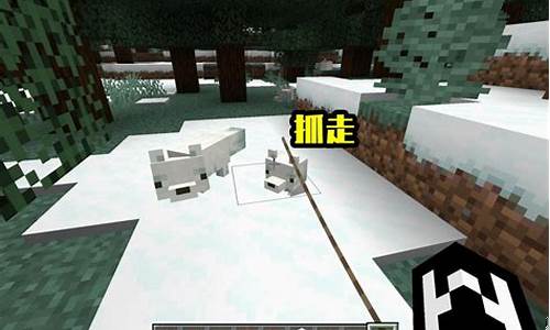 我的世界 驯服狐狸_我的世界驯服狐狸有什么用